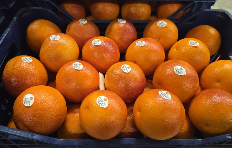 Arance Tarocco, cal. 6 - Sicilia - 2,50 euro al chilogrammo